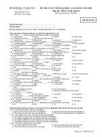 ĐỀ CHÍNH THỨC MÔN ANH KHỐI D NĂM 2007 - MÃ ĐỀ 254 pps