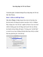 Sao chép nhạc từ CD vào iTunes pps