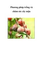 Phương pháp trồng và chăm sóc cây mận ppt