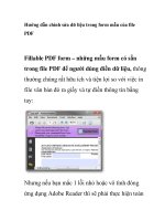 Hướng dẫn chỉnh sửa dữ liệu trong form mẫu của file PDF docx