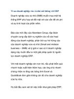 Vì sao doanh nghiệp vừa và nhỏ nói không với ERP ppt