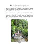 Lên cao nguyên ăn rau rừng, cá suối pdf