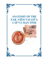 OTOLOGY of the ear - viêm tai giữa cấp và mạn tính pps