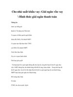 Cho nhà xuất khẩu vay: Giải ngân vốn vay  Hình thức giải ngân thanh toán pps