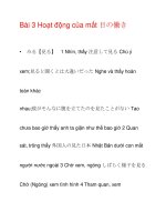 Hoạt động của mắt 目の働き docx