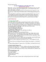 Tổng Quan Hiren''''s Boot 8 pps