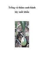 Trồng và thâm canh hành tây xuất khẩu docx