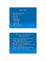 Nấm men và nấm mốc potx