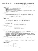 Đề thi chọn học sinh giỏi lớp 12 năm học 2010 - 2011 môn toán potx