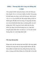 Adidas – Thương hiệu thời trang của những nhà vô địch docx