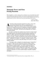 THẠC SỸ KINH TẾ - KINH TẾ VI MÔ - CHAPTER 12 pps