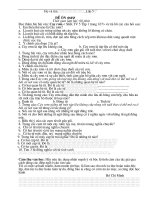 De on tap Tieng Viet