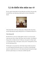 Lý do khiến hôn nhân tan vỡ pps