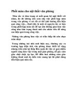 Phối màu cho nội thất văn phòng pot