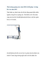 Thị trường quảng cáo: năm 2010 sẽ hồi phục và tăng lên vào năm 2011 ppt