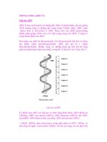 Sinh học tế bào ( phần 11 ) potx