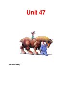 Unit 47 Vocabulary pdf