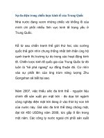 Sự đa diện trong chiến lược kinh tế của Trung Quốc pps