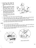 Kĩ Thuật Chăn Nuôi - Vịt, Ngan phần 4 pot