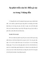 Sự phát triển của bé: Điều gì xảy ra trong 3 tháng đầu potx