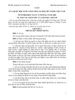 Luật số 25/2004/QH11 ppt