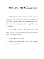 SINH CƠ HỌC CỦA XƯƠNG pptx
