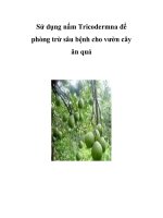 Sử dụng nấm Tricodermna để phòng trừ sâu bệnh cho vườn cây ăn quả ppsx