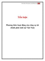 Tiểu luận phương thức hoạt động của công cụ tài chính phái sinh tại việt nam