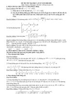 De thi thu co DA nam 2010