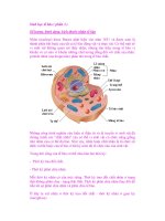 Sinh học tế bào ( phần 3 ) pps