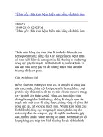 Tế bào gốc chữa khỏi bệnh thiếu máu hồng cầu hình liềm docx