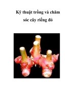 Kỹ thuật trồng và chăm sóc cây riềng đỏ ppt