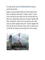 Gia tăng lợi thế cạnh tranh bằng hình thức nhượng quyền thương hiệu doc