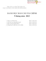 tổng công ty lương thực miền nam công ty cổ phần lương thực thực phẩm safoco danh mục báo cáo tài chính 9 tháng năm 2013