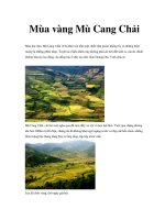 Mùa vàng Mù Cang Chải pps