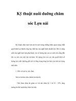 Kỹ thuật nuôi duỡng chăm sóc Lợn nái pdf