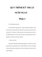 QUY TRÌNH KỸ THUẬT NUÔI NGAN - Phần 2 pot