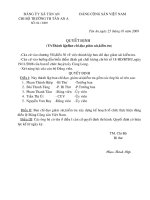 Quyết định thành lập abn chỉ đạo,giám sát