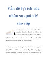 Vấn đề lợi ích của nhân sự quản lý cao cấp ppt