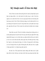 Kỹ thuật nuôi vỗ béo bò thịt pptx