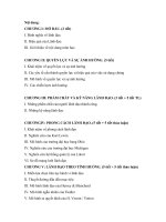 Nội dung bài giảng nghệ thuật lãnh đạo pdf