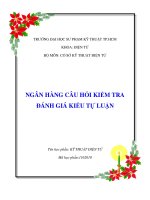 NGÂN HÀNG CÂU HỎI KIỂM TRA ĐÁNH GIÁ KIỂU TỰ LUẬN pdf