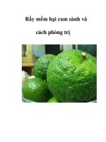 Rầy mềm hại cam sành và cách phòng trị pdf