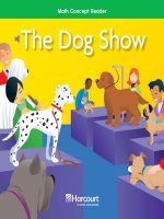 Math Concept Reader - The dog show pot
