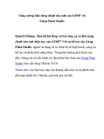 Tăng cường khả năng chỉnh sửa ảnh của GIMP với Gimp Paint Studio pdf