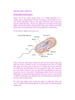 Sinh học tế bào ( phần 10 ) Tế bào nhân sơ pdf