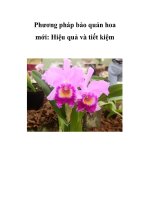Phương pháp bảo quản hoa mới: Hiệu quả và tiết kiệm docx