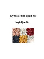 Kỹ thuật bảo quản các loại đậu đỗ pps