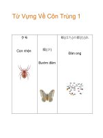 Từ Vựng Về Côn Trùng 1 pdf