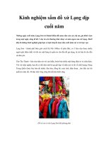 Kinh nghiệm sắm đồ xứ Lạng dịp cuối năm potx